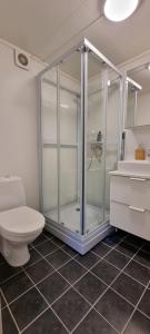a bathroom with a shower and a toilet at Small cosy and fully equipped apartment with the possibility to rent a car in Tromsø