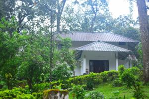 Ein Garten an der Unterkunft Elixir Woods Luxury Resort And Spa, Munnar
