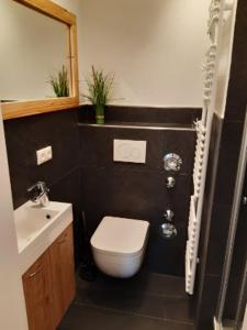 Koupelna v ubytování Apartment Wurmbergblick