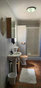 a bathroom with a sink and a toilet and a shower at Prieska Kokerrus in Prieska
