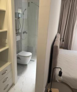 a bathroom with a shower and a toilet in a room at Maslina- 3 bedroom apartment in Kotor +6 photos