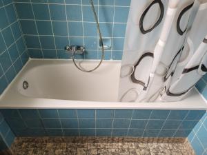 a bath tub with a shower in a blue tiled bathroom at Horrem City Apartments in Horrem