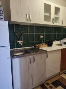 Kuchyň nebo kuchyňský kout v ubytování Apartman Nešković