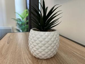 Afbeelding uit fotogalerij van Studio Le petit pélican in Châtenois +8 foto's