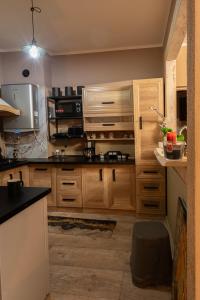 ヴァウブジフにあるApartament ,,Kraina Alicji''の木製のキャビネットとカウンタートップを備えたキッチン