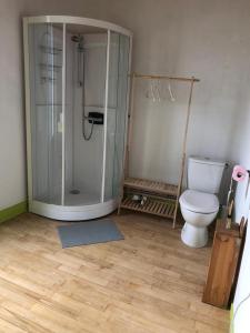 ein Badezimmer mit Dusche und Toilette in der Unterkunft La Modestine in Le Monastier sur Gazeille + 31 Fotos