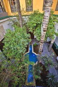 Zahrada ubytování Riad Louna Fes & Spa