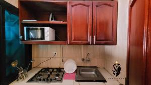 Kuchyň nebo kuchyňský kout v ubytování Residence Le Carat