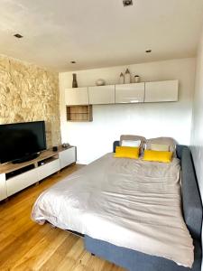 a bedroom with a large bed and a flat screen tv at L'Ecrin Meulière in Conflans-Sainte-Honorine