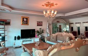 TV a/nebo společenská místnost v ubytování Ottoman Hotel Sakarya