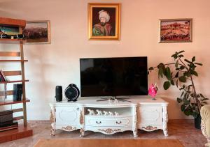 TV a/nebo společenská místnost v ubytování Ottoman Hotel Sakarya