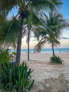 two palm trees on a sandy beach with the ocean at As Palhas in Amontada
