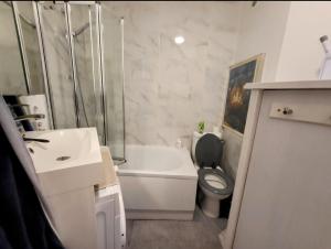 ein Badezimmer mit Waschbecken, Toilette und Dusche in der Unterkunft Studio meublé vue tour Eiffel et tout Paris in Saint-Maurice