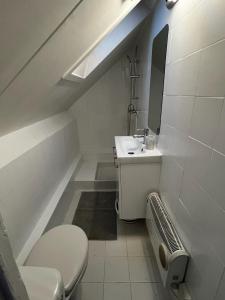 Un baño pequeño con inodoro y lavabo. en Joli Studio de 25 M2 proche de Disney, en Collégien