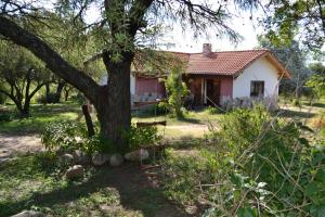 een klein huisje met een boom ervoor bij Atardecida in Villa Las Rosas