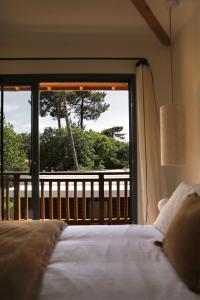 una camera da letto con un letto e una grande finestra di CLUQUE- Maisons de Vacances a Capbreton