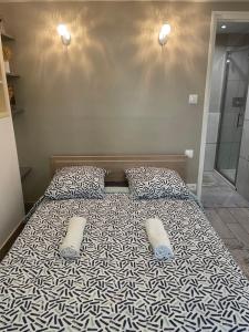 a bed with two pillows on it in a room at La maison de Tedone in Arles-sur-Tech