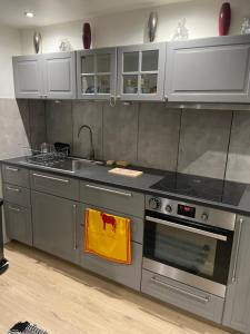 a kitchen with a stainless steel stove top oven at La maison de Tedone in Arles-sur-Tech +5 photos