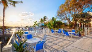 a patio with blue chairs and tables and palm trees at 311 Mariners Club in Key Largo