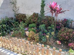 Vila do Tatá外面的花园