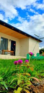 Aed väljaspool majutusasutust Guest house "Soulmate"