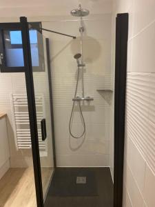 a shower with a glass door in a bathroom at Charmant studio pont de Kerino-Chorus-Conleau in Vannes +3 photos