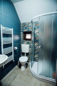 a bathroom with a shower and a toilet and a sink at Agropensiunea Casa Daiana Breb in Breb