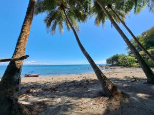 two palm trees on a sandy beach with the ocean at Cabinas Guacamaya in Cabuya