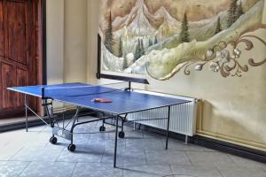 Attrezzature per ping pong presso Gotel Milenium o nelle vicinanze