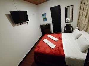 TV a/nebo společenská místnost v ubytování Hotel Ricocampo