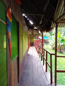 Fotografie z fotogalerie ubytování Jacamar Lodge Expeditions v destinaci Iquitos + 37 fotografií