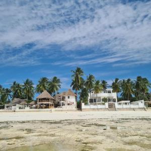 a group of houses on a beach with palm trees at Villa Ark Zanzibar in Paje