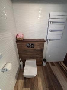 a small bathroom with a toilet and a sink at Chata pod Grúňom in Veľké Borové