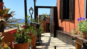 a patio with potted plants on the side of a building at Casa Moni con Vistas al Mar in Playa de Santiago