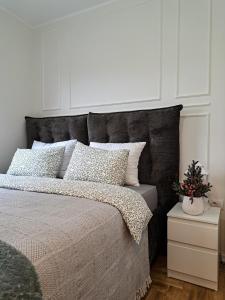 a bedroom with a large bed with white walls at Apartman Vasilisa in Novi Sad