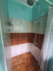 a bathroom with a shower with brown tile at Ackee Green Rental - 3 beds large apartment or 2 beds modern apartment in Gros Islet