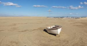 Naturlandskabet i nærheden af lejligheden + 5 billeder