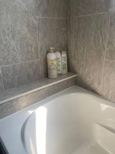 a bathroom with a white toilet and two shampoo bottles at Entire Apartment in Kingston +4 photos