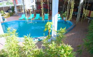 una piscina en un complejo con sillas azules en Ha Giang Loop Rabbit Hostel & Tours, en Ha Giang