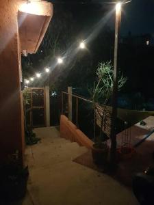 Φωτογραφία από το άλμπουμ του Departamento Miguel Angel σε Oaxaca City