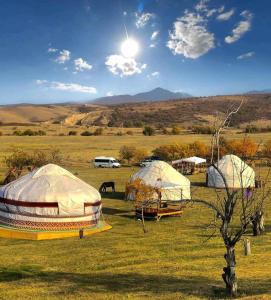Gallery image of Юрта Qyran in Türgen