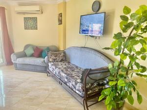 Μια τηλεόραση ή/και κέντρο ψυχαγωγίας στο مصر الجديدة