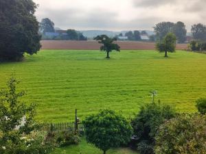 a field of green grass with two trees in it at Gemütliches, ruhiges Zimmer mit eigenem Bad in Werther