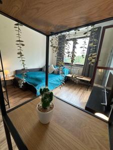 Χώρος καθιστικού στο large apartment in Borovets