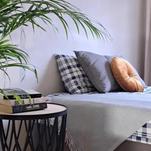 a couch with pillows and a table with a plant at Nowy Paris in Kielce