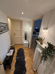 Cozy Panorama Apartment next to the fashion street 1056 Budapest, Duna utca 3 kép - 2