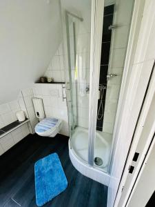 a bathroom with a shower and a blue rug at Ferienwohnungen Dörte & Stella Hof Saale in Hof