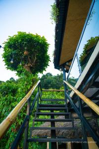 Giardino di The Hideout Villa Pokhara