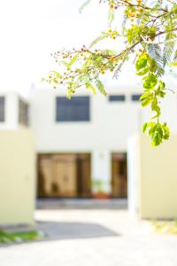 Galeriebild der Unterkunft Hospedaje Dulce Estancia in Ica