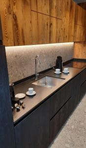 a kitchen counter with a sink and cups and saucers at Il giardino di Anna - Appartamento 2 in Fai della Paganella +9 photos